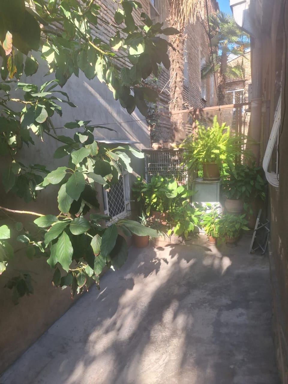 Central and Cozy Guest House Keti Bed and Breakfast in Tbilisi, Georgia