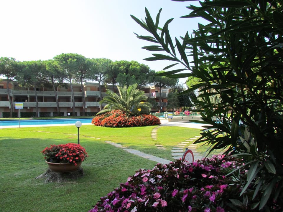 Garden, Garden, Garden view, Swimming pool