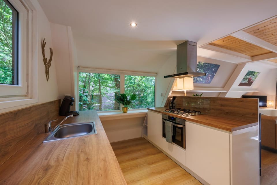 Kitchen or kitchenette, dishwasher, minibar, pet friendly, stove