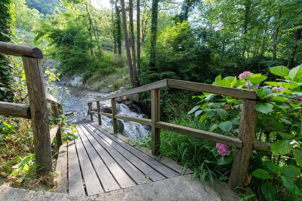 Day, Garden view, River view
