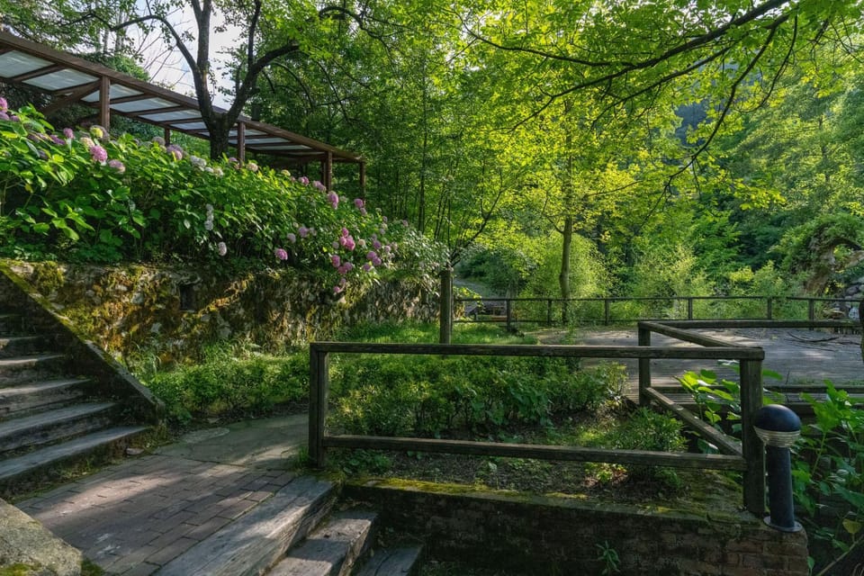 Day, Garden view, Mountain view
