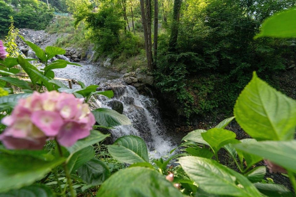 Day, Garden, View (from property/room), Garden view, River view