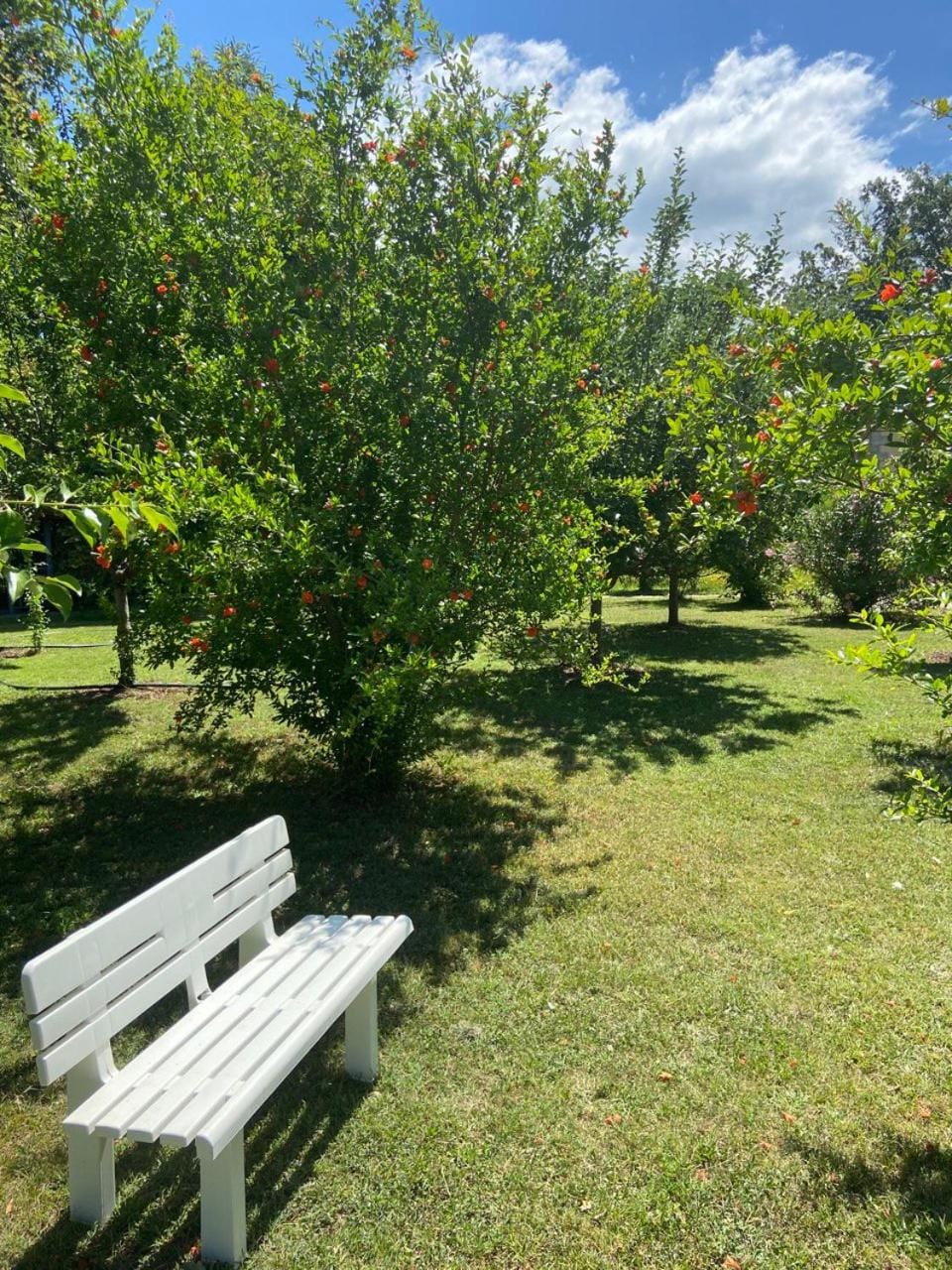 Frutak Villa Resort Villa in Podgorica Municipality, Montenegro