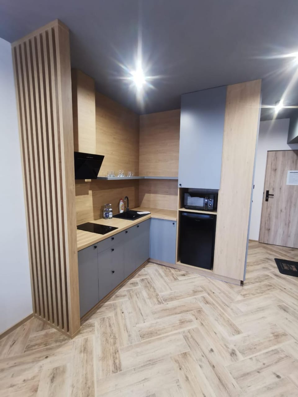 Kitchen or kitchenette, minibar, pet friendly, stove