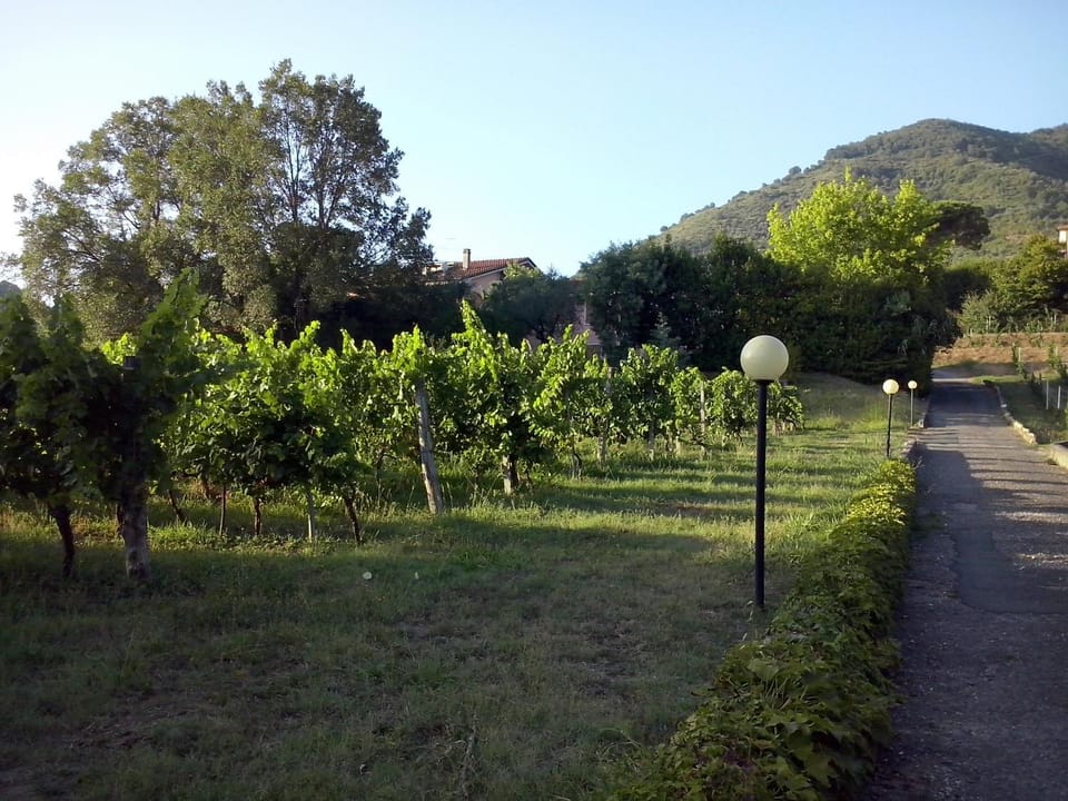 BBQ facilities, City view