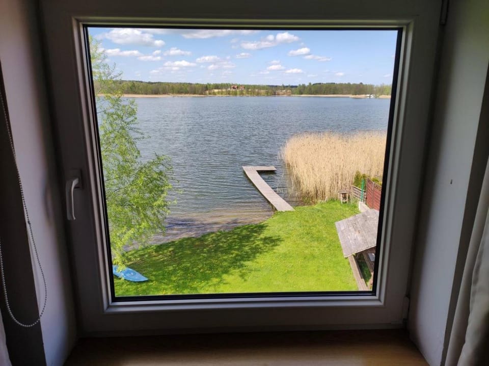 Natural landscape, Garden, Garden view, Lake view