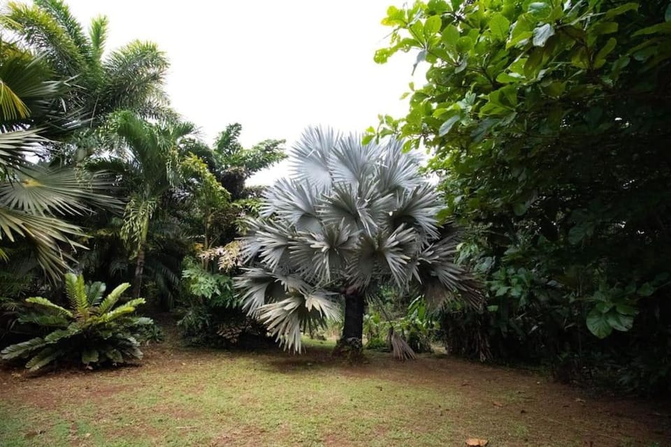 Natural landscape, Garden