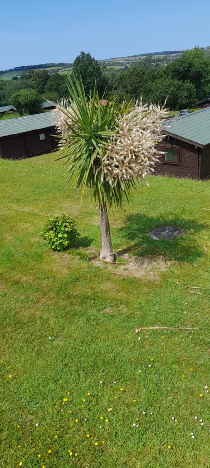 Lake view House in Saint Columb Major