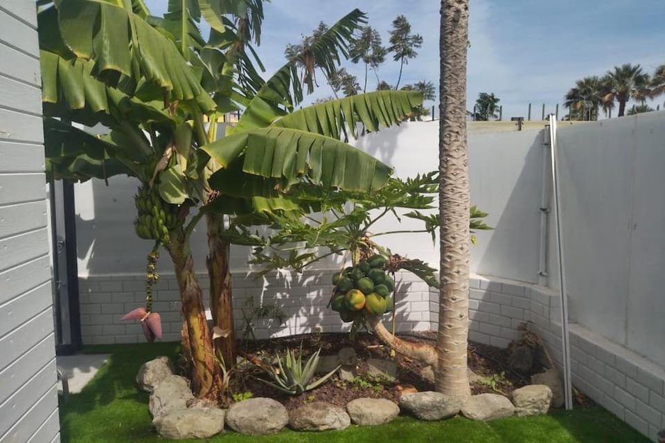 Las Tartanas 110-1-2 House in Maspalomas