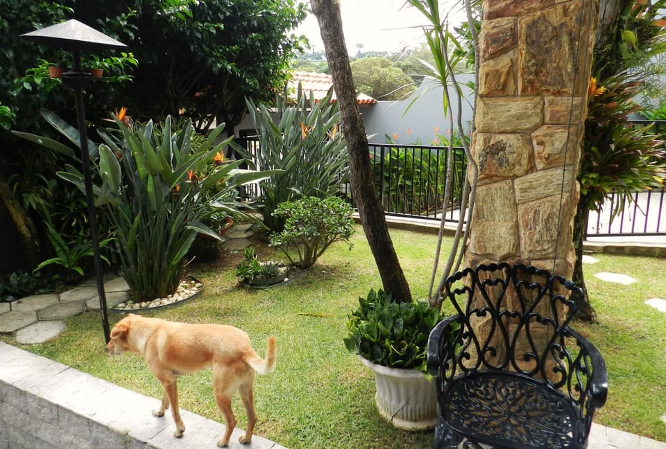 Garden view