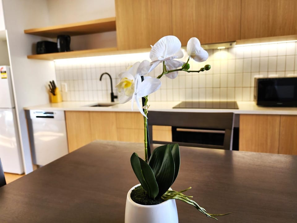 Kitchen or kitchenette, minibar, stove