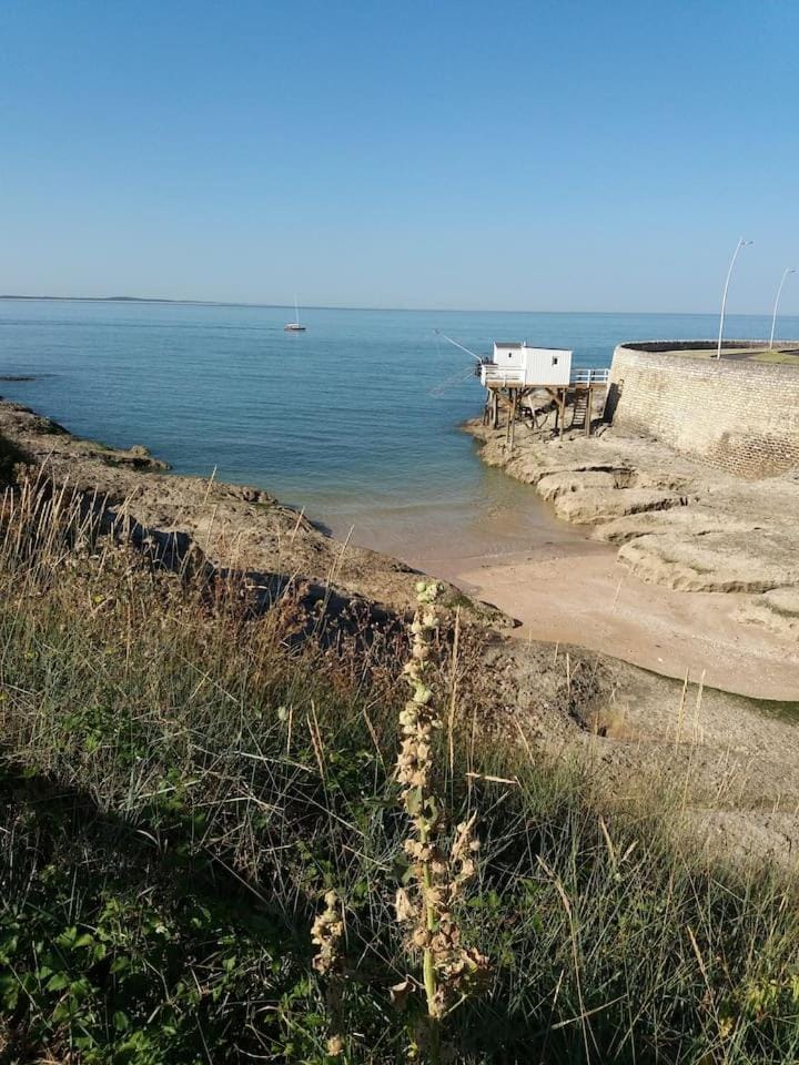 Meublé de charme avec jacuzzi Apartment in Nouvelle-Aquitaine