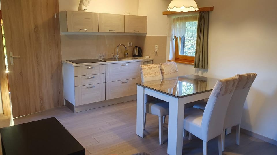 Kitchen or kitchenette, Dining area, stove