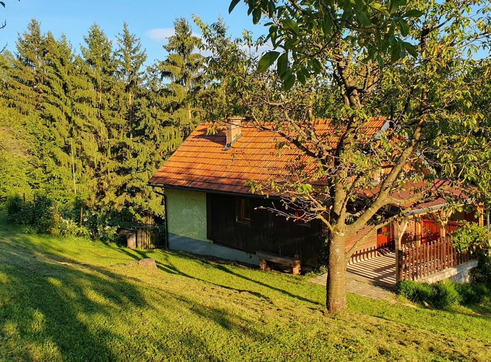 Property building, Natural landscape, Garden