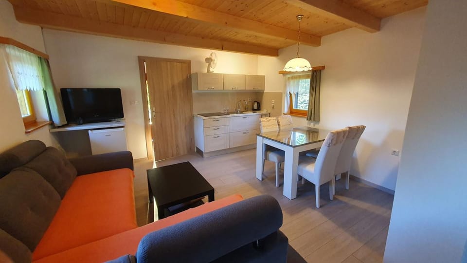 Kitchen or kitchenette, Living room, Seating area, Dining area