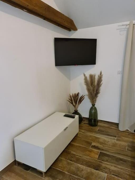 Communal lounge/ TV room, TV and multimedia