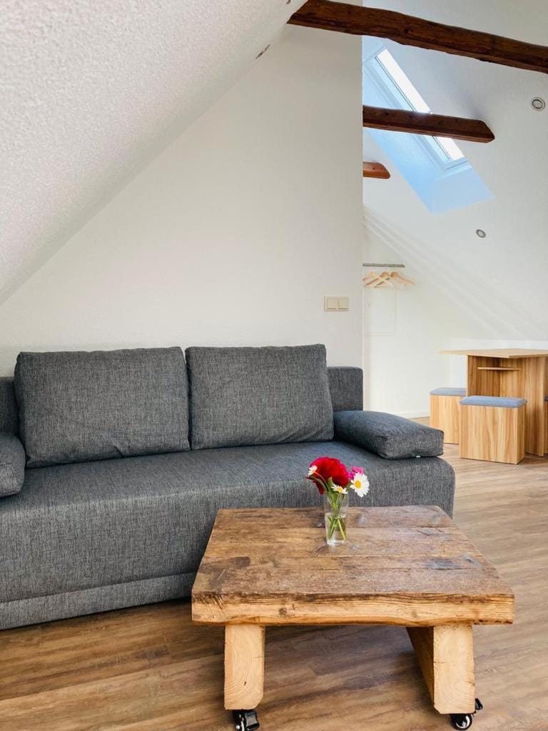 MariaDora Apartment in Saxony