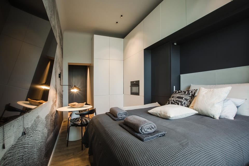 Luxury studio with a park view Apartment in Riga
