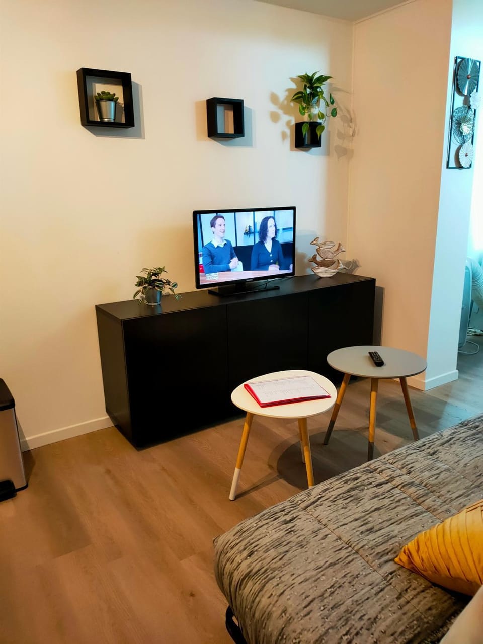TV and multimedia