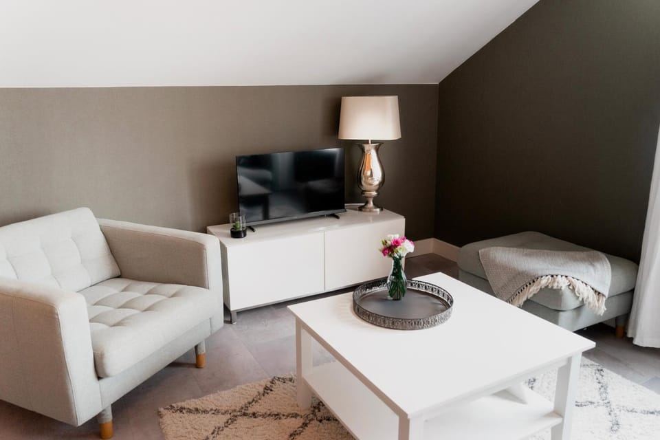 TV and multimedia, Living room, Seating area, air conditioner