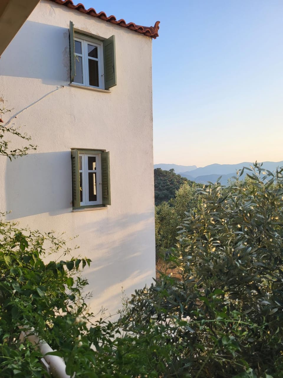Property building, Natural landscape