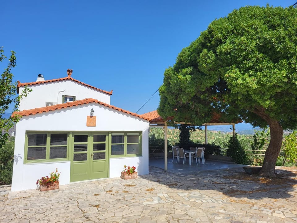 Property building, Day