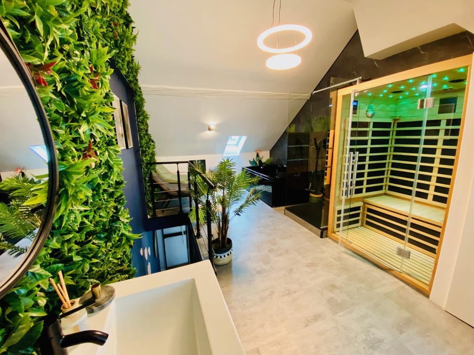 Saphir Spa - Sauna Balnéo Chromothérapie Massage Apartment in Amiens