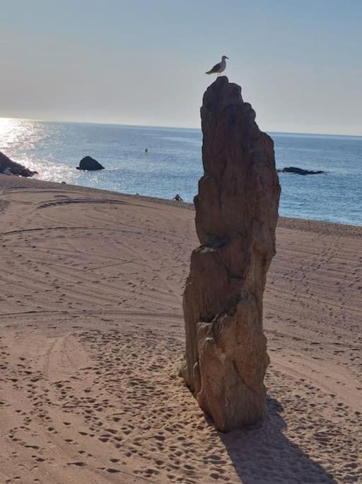 Bravaholidays-203 Wifi, Aire Ac. Apartment in Blanes