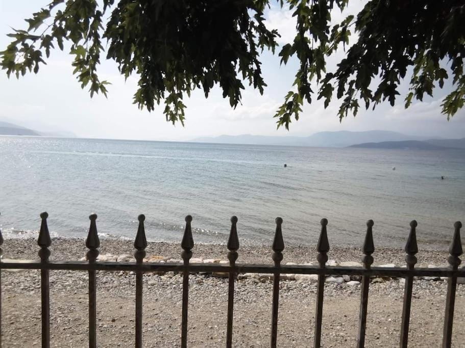 Παραθαλάσσιο διαμέρισμα με κήπο στον Αγιόκαμπο Apartment in Euboea