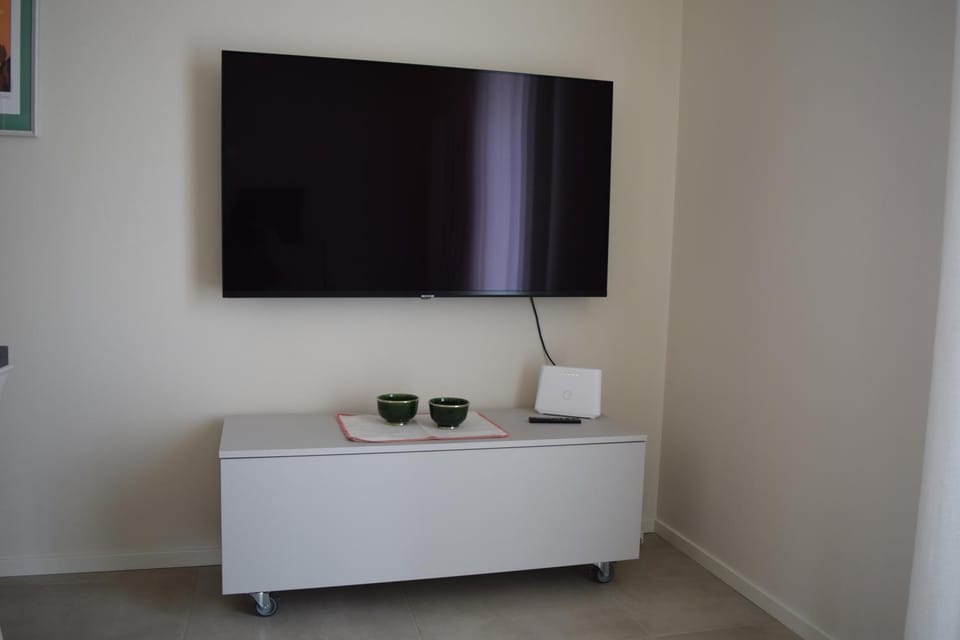 TV and multimedia