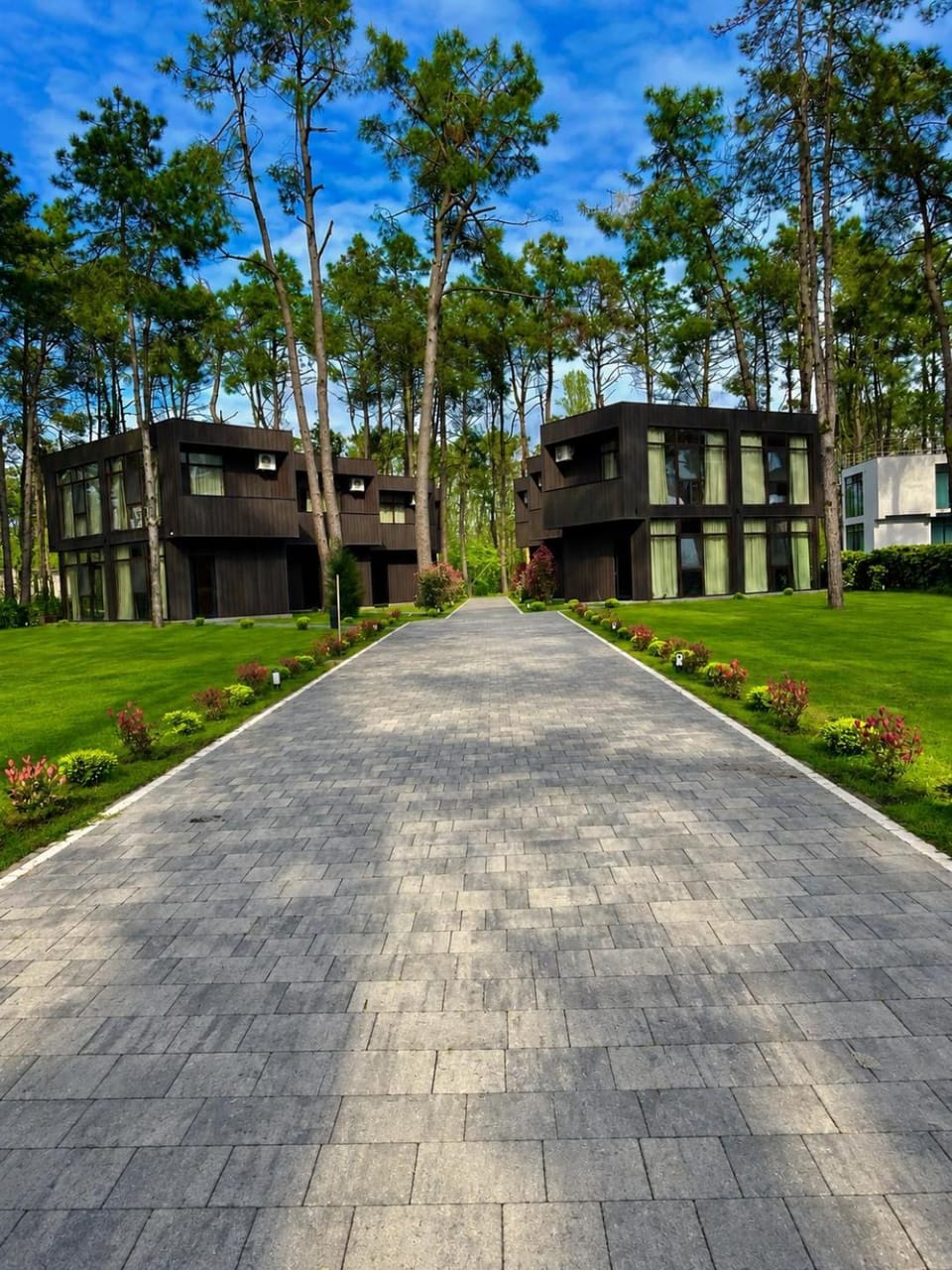 Buxus Villas Shekvetili Villa in Georgia