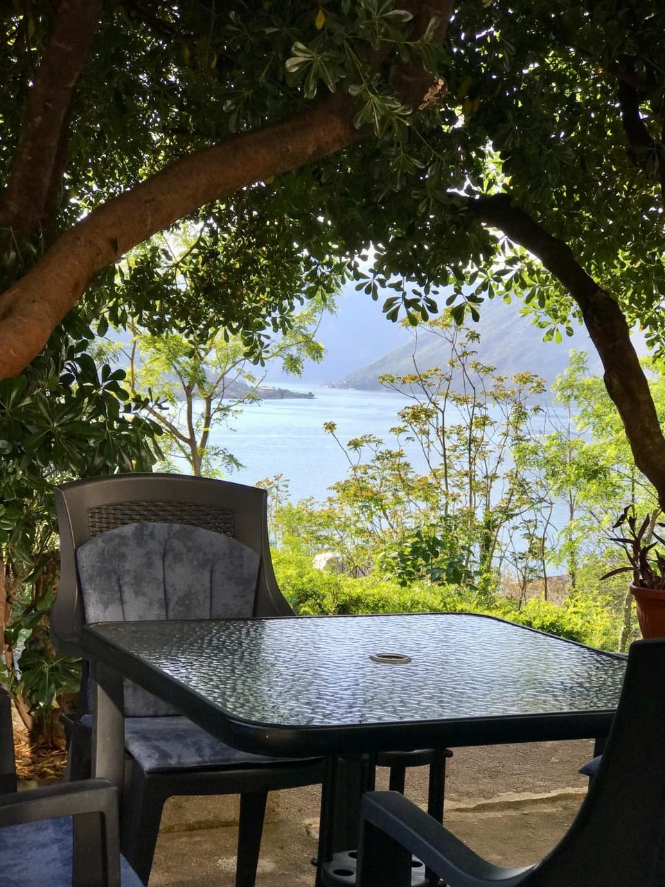 Blue Shell Apartments Apartment in Dobrota