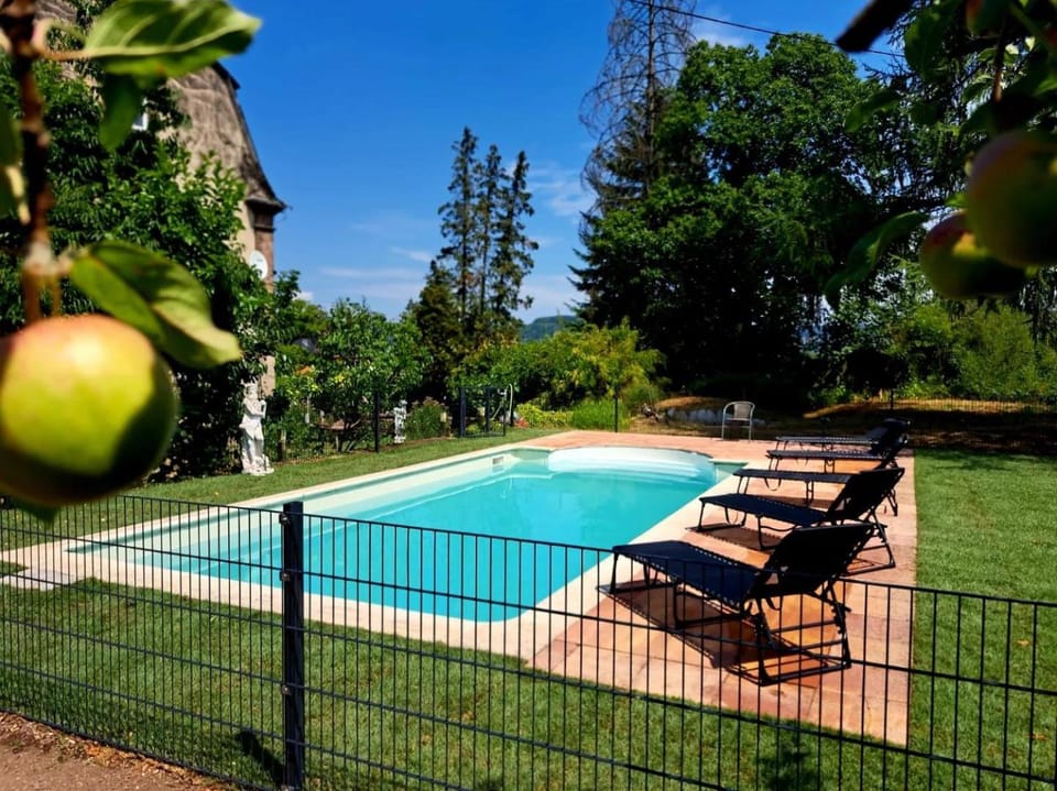 Garden, Garden view, Pool view, Swimming pool, sunbed