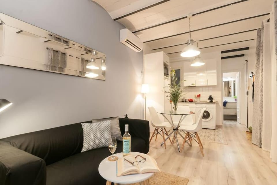 Quiet Central 2BR for 3, Pets welcomed Apartment in Barcelona