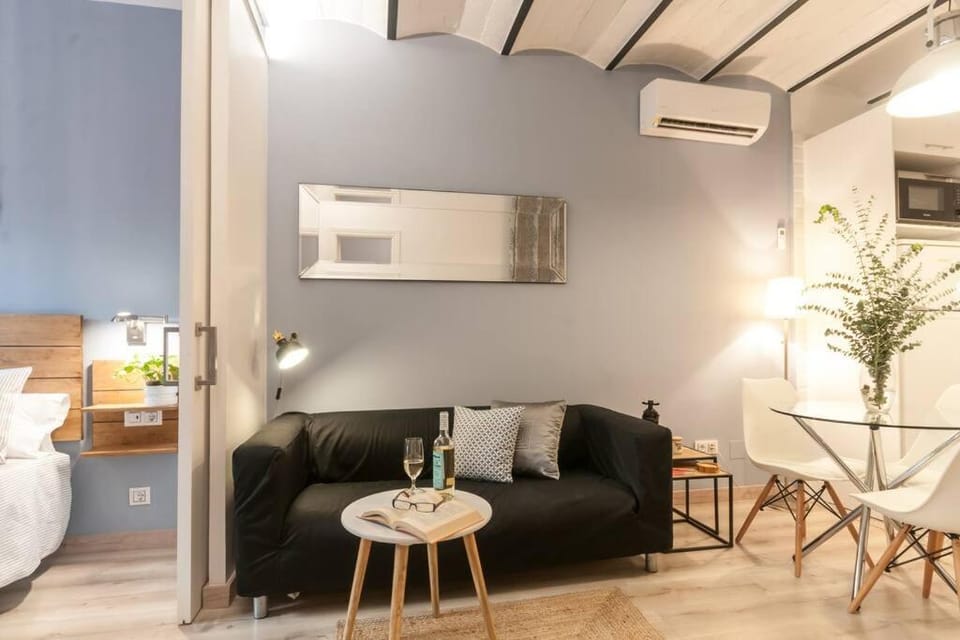 Quiet Central 2BR for 3, Pets welcomed Apartment in Barcelona