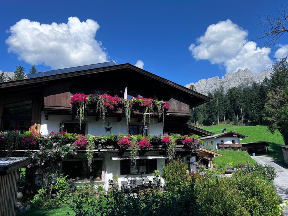Day, Garden, Garden view