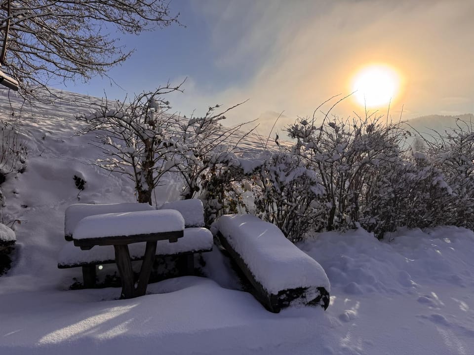 Day, Natural landscape, Winter