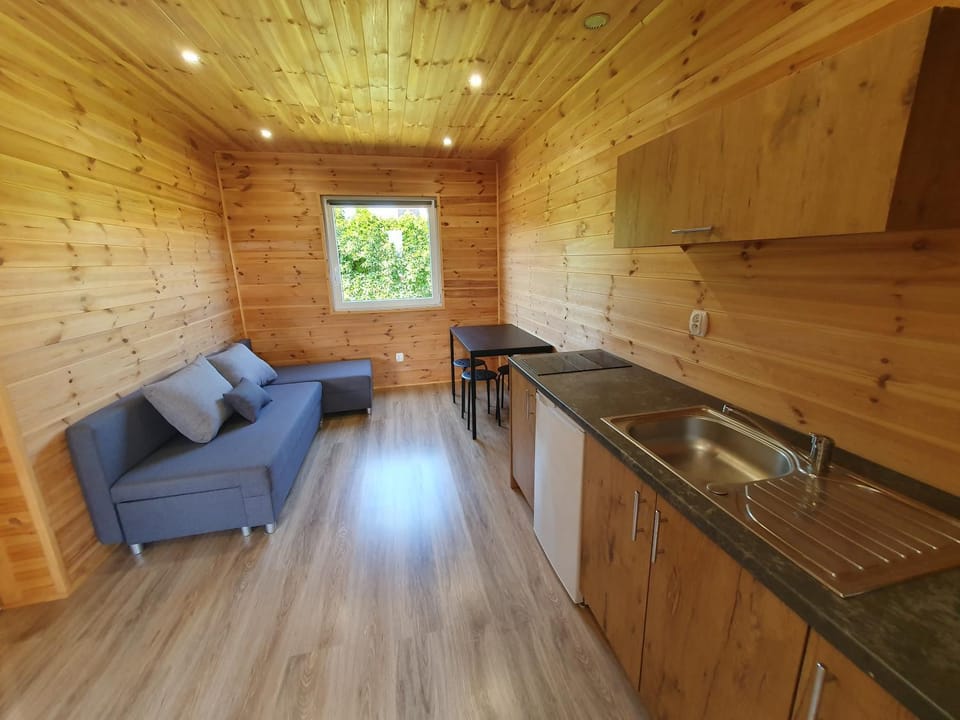 Kitchen or kitchenette, Living room