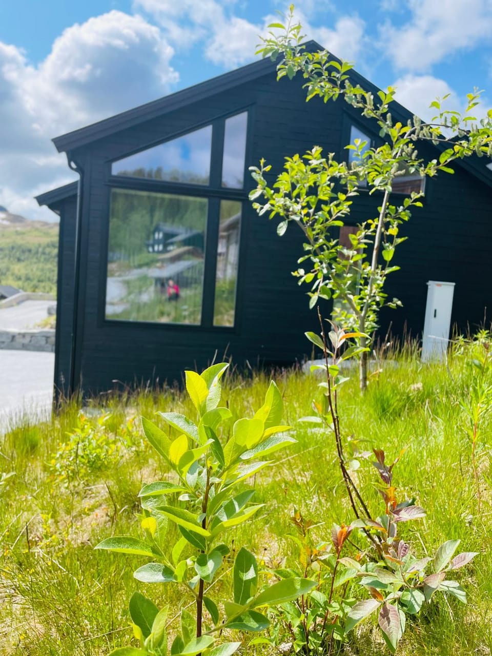 Hodlekvevegen 308 - Flott hytte midt i skisenteret House in Vestland