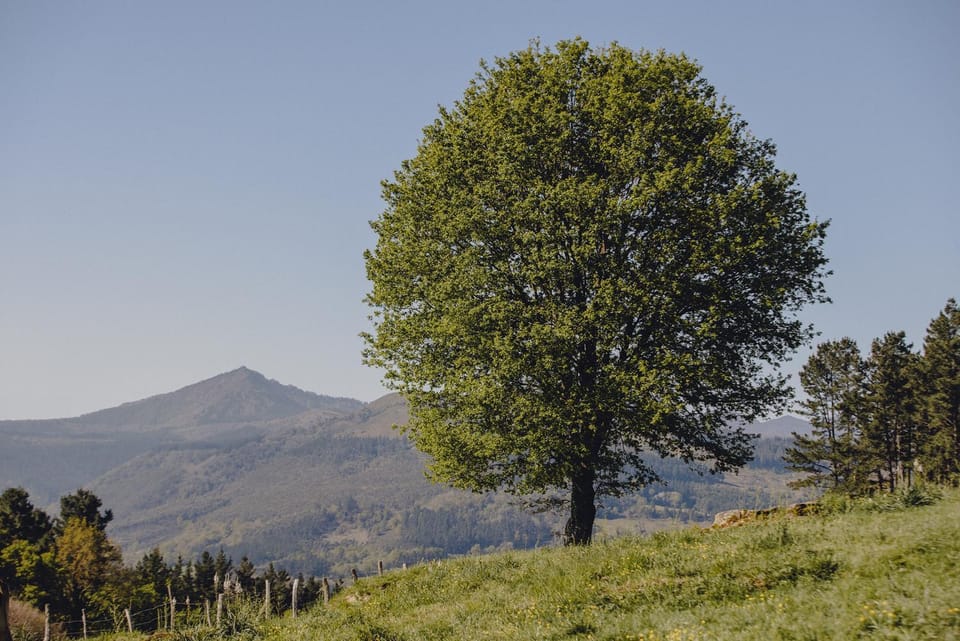 Natural landscape