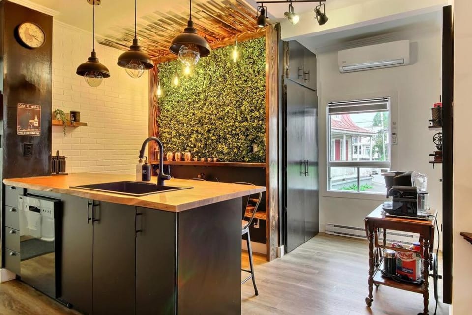 Antique CAT - 2 King Bed & Hot Tub - Free Parking Apartment in Quebec City