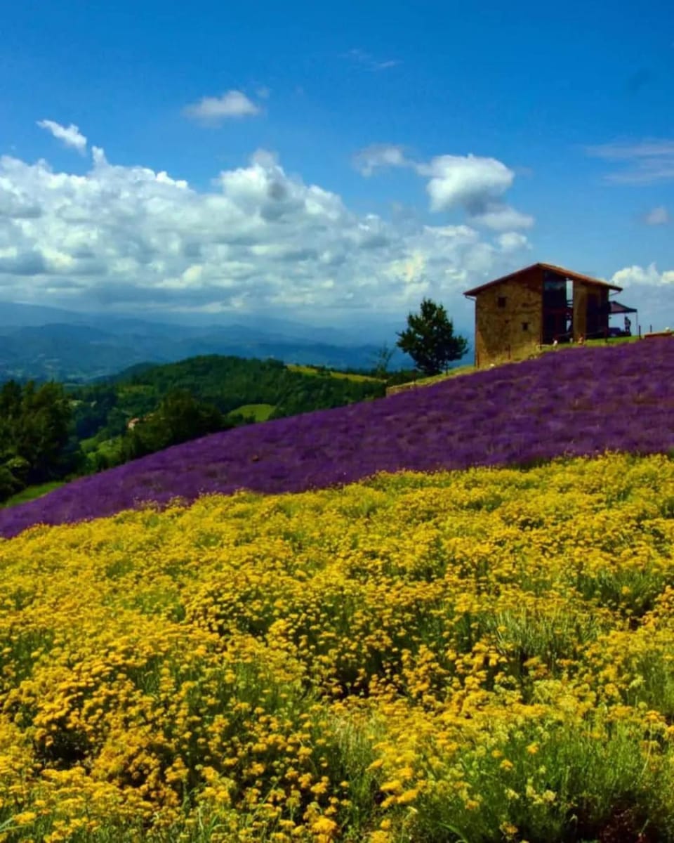 Natural landscape