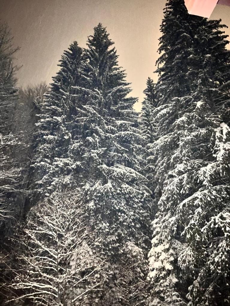 Natural landscape, Winter