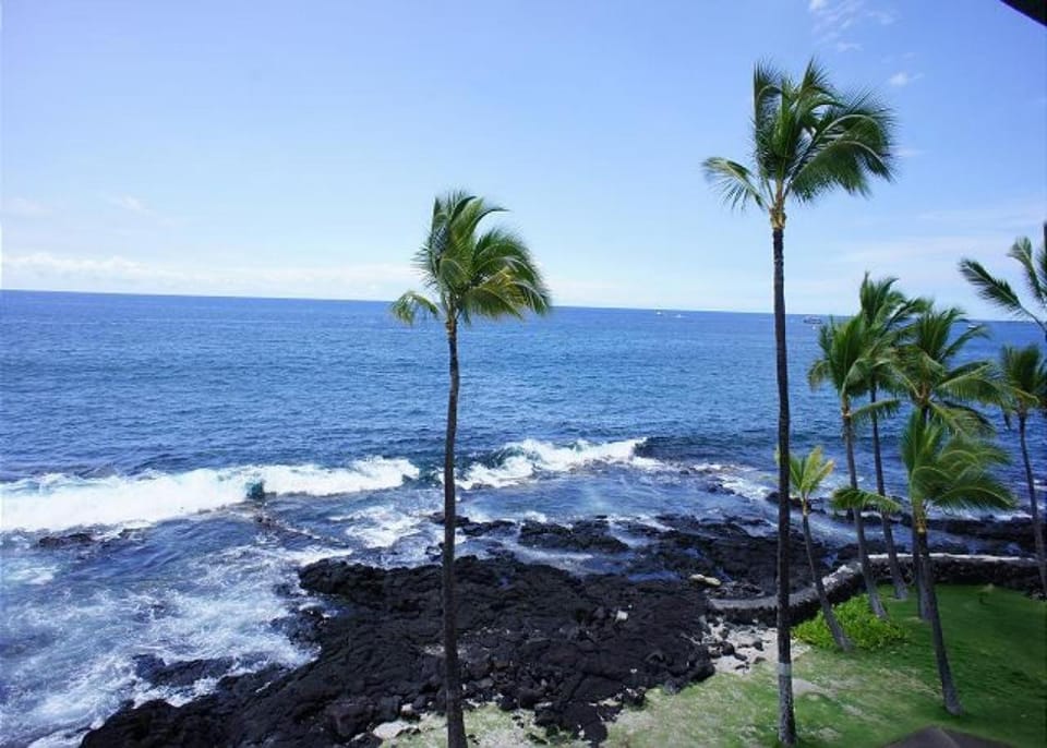Kona Reef D37 House in Holualoa