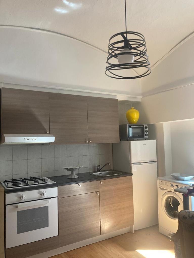 Kitchen or kitchenette, minibar, pet friendly, stove, toaster, washing machine