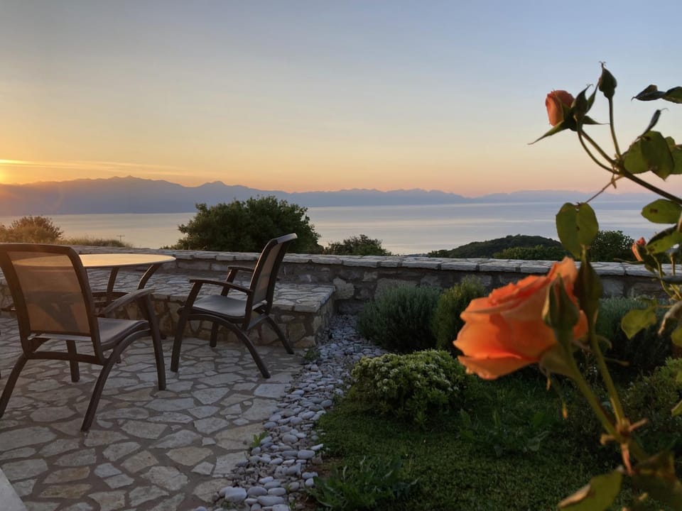Garden, Sea view, Sunrise