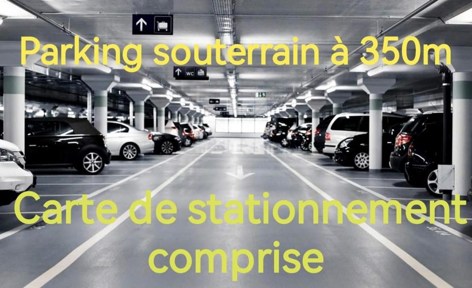 Grand appartement de haut standing en centre-ville Apartment in Montluçon