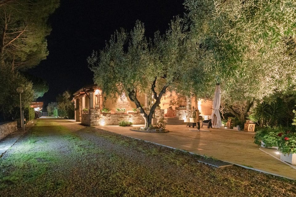 Night, Garden view
