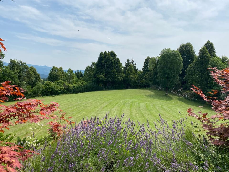 Garden, Garden view