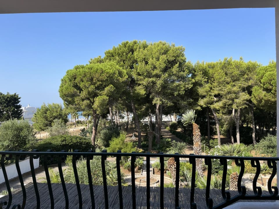 View (from property/room)